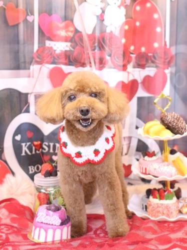 20250204レオくん